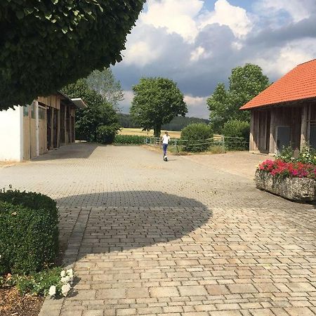 Ferienwohnung Baumgartner Ursensollen Luaran gambar