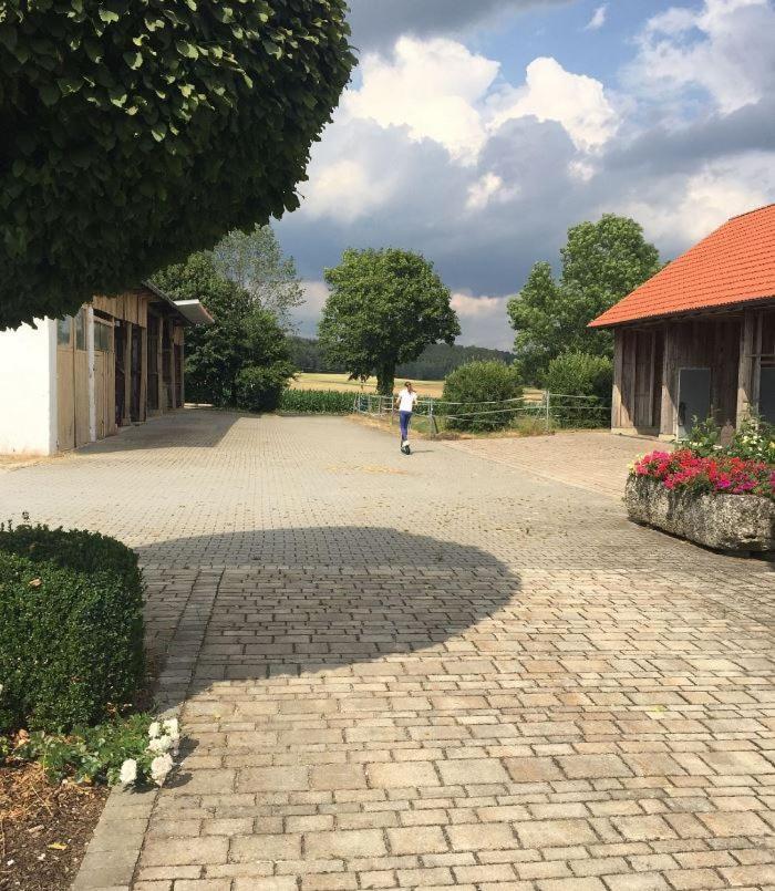 Ferienwohnung Baumgartner Ursensollen Luaran gambar
